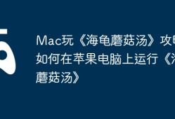 Mac玩《海龟蘑菇汤》攻略，如何在苹果电脑上运行《海龟蘑菇汤》