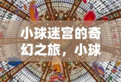 小球迷宫的奇幻之旅，小球迷宫的神秘奇幻之旅