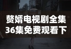 赘婿电视剧全集36集免费观看下载