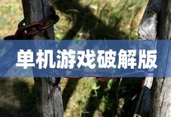 单机游戏破解版