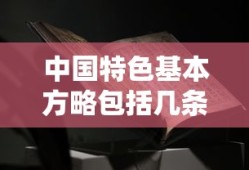 中国特色基本方略包括几条