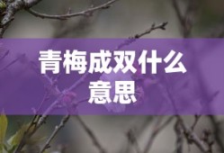 青梅成双什么意思