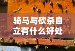 骑马与砍杀自立有什么好处