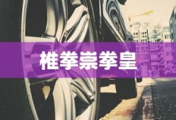 椎拳崇拳皇