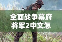 全面战争幕府将军2中文怎么调