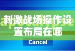 刺激战场操作设置布局在哪