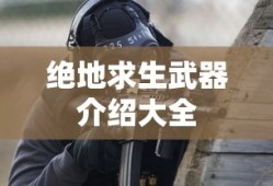绝地求生武器介绍大全