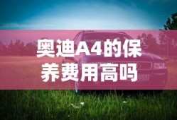 奥迪A4的保养费用高吗