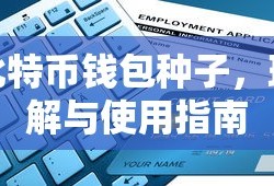 比特币钱包种子，理解与使用指南