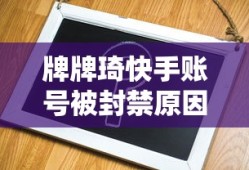 英语The是什么词性