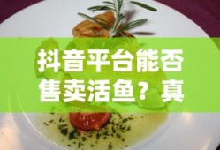 赛尔号融合精灵图鉴