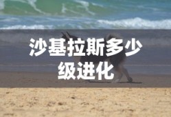 沙基拉斯多少级进化