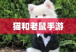 跳跳妹妹传记三