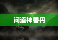 马嘉韵杭州