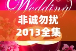 非诚勿扰2013全集完整版免费观看高清