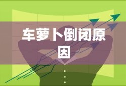 车萝卜倒闭的原因深度剖析