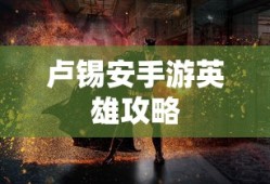 海贼王燃烧意志阵容搭配2024最新