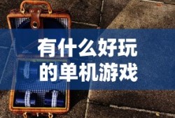有什么好玩的单机游戏不需要网络的