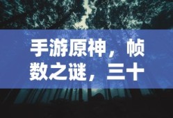 手游原神，帧数之谜，三十帧是否唯一选择？