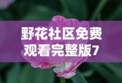 野花社区免费观看完整版7