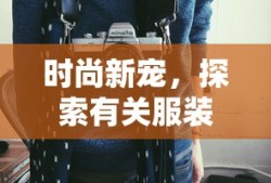 时尚新宠，探索服装搭配软件的应用