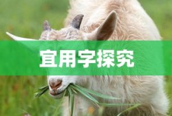 fgo梅林突破材料一览