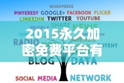2015永久加密免费平台有哪些