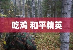 吃鸡 和平精英