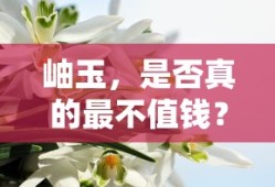 岫玉，是否真的价值最低？