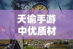 高圆圆chloe
