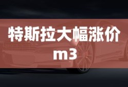 特斯拉大幅涨价m3