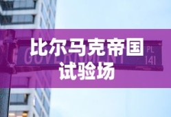 鬼泣5汉化补丁，游戏玩家的福音之旅