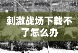 刺激战场下载不了怎么办