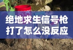 绝地求生信号枪打了怎么没反应
