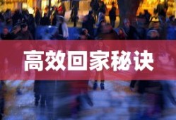 春运抢票最新技巧与方法，高效回家的秘诀