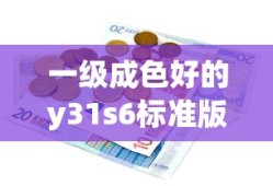 一级成色好的y31s6标准版