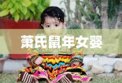 顶级豪华房车视频