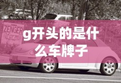 g开头的是什么车牌子