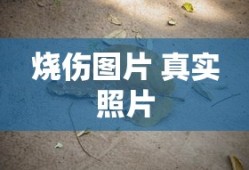 梦三国手游官网下载正式版