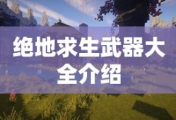 绝地求生武器大全介绍