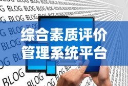 综合素质评价管理系统平台入口