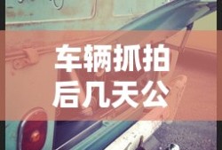 车辆抓拍后几天公布