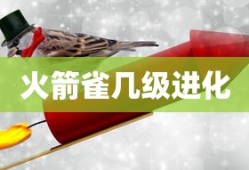 火箭雀几级进化