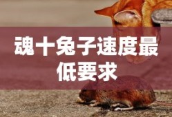 魂十兔子速度最低要求