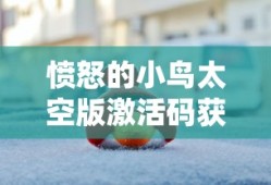 愤怒的小鸟太空版激活码获取攻略，愤怒的小鸟太空版激活码获取指南