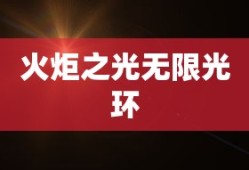 火炬之光无限光环