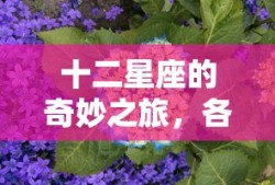 十二星座的奇妙之旅，各星座独特魅力探索