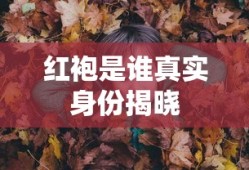 红袍是谁真实身份揭晓