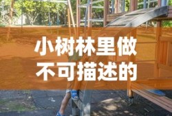 2012奔腾B70