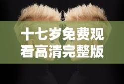 十七岁免费观看高清完整版